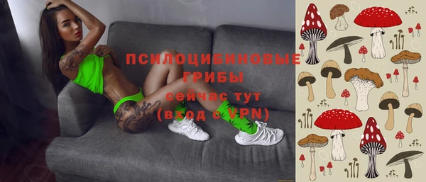 винт Новозыбков
