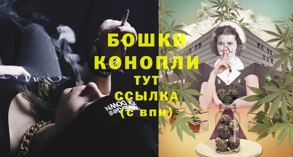 винт Новозыбков