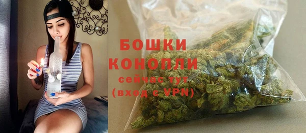 крисы Яранск