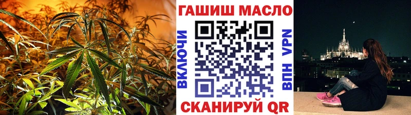 OMG ONION где продают Сысерть ТГК THC oil