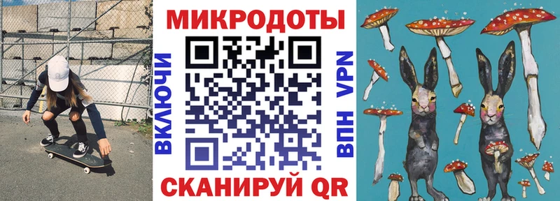 Галлюциногенные грибы Psilocybe  Сысерть 